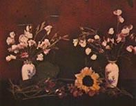 Autochrom av C:son Cronquist