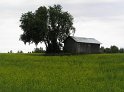 galleri45