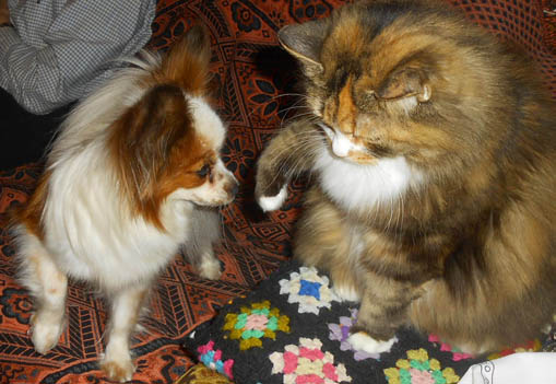 Bella & Tussan 260216